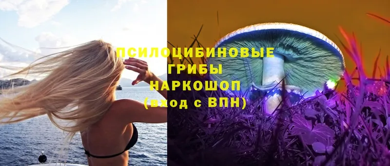 Галлюциногенные грибы Magic Shrooms  цены   Ленск 